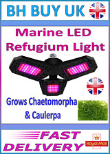 E27 MARINE REFUGIUM 8w LED LIGHT, CHAETO CAULERPA, MACRO ALGAE, SUMP TANK, FISH