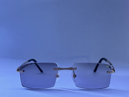 Cartier santos glasses - glasses,