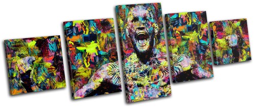 Conor mcgregor ufc - conor,