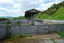 Photo 6x4 Community sheep and