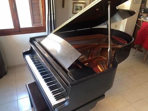 Grand pianos for - grand, sale, 