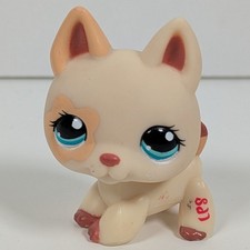 Littlest Pet Shop #1169 German