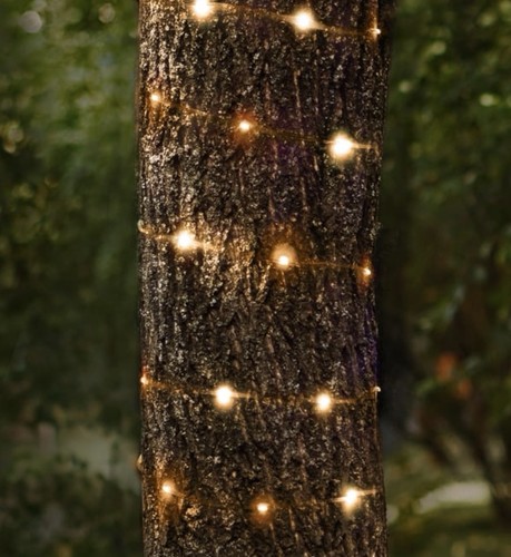 New prestige 100 led - new, warm