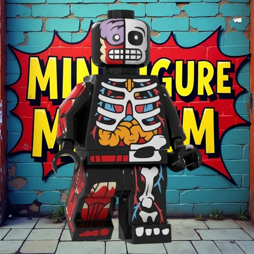 Anatomy guy custom - anatomy,
