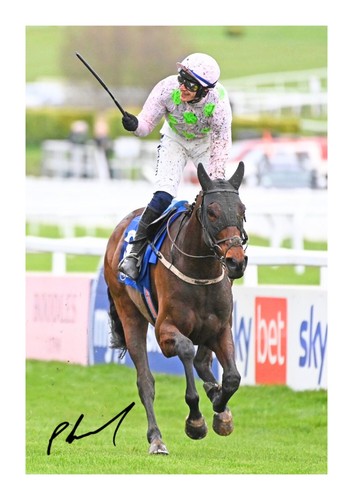 Paul townend gaelic warrior - townend,