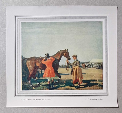 Munnings point - to,