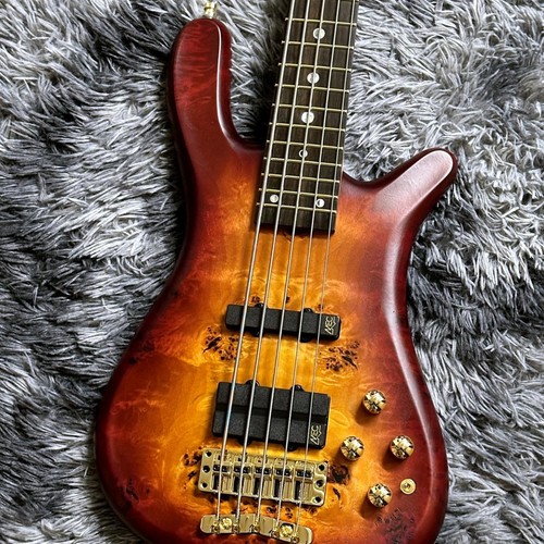 Warwick teambuilt streamer - streamer, lx