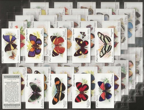 Players full set butterflies - players-full,