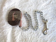 *** Miniature Horse /