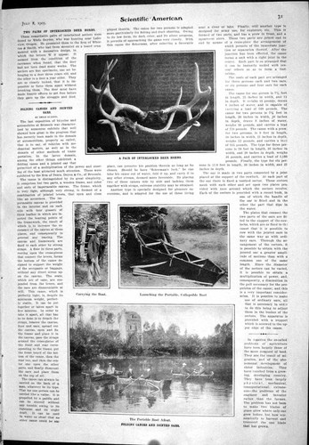 Old print 1905 - old,