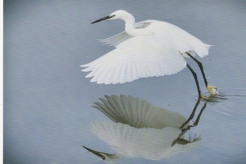 Wirral hospice john egret - wirral, st
