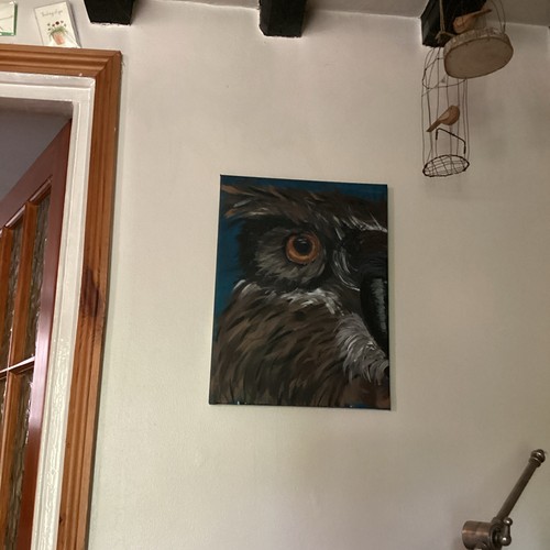Hand painted owl bird painting - owl,