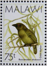 MALAWI 1988 SG800 BIRDS. GREEN