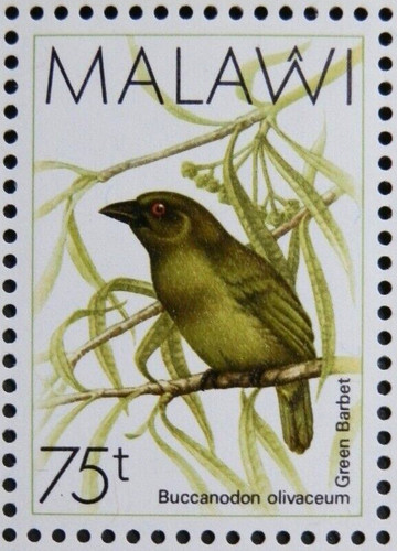 Malawi 1988 sg800 birds - malawi,
