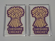 Cheshire County Cricket Club Acrylic Fridge Magnet Set Of 2 