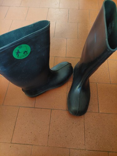Bekina safety wellington - bekina,