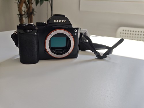Sony camera with charger - with,