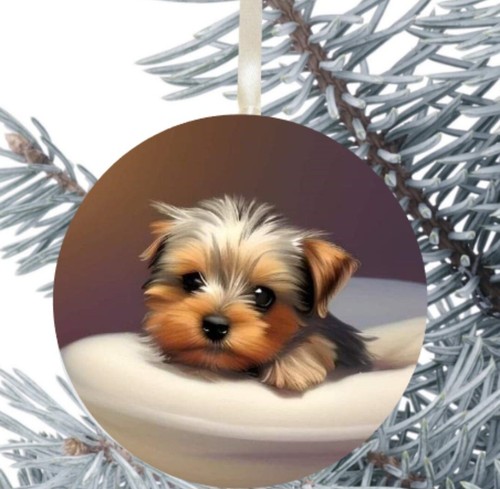 Yorkshire terrier dog hanging - terrier,