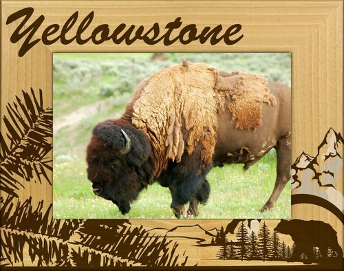 Yellowstone national park with - national,