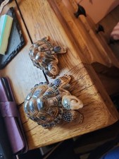 Wade Tortoises 1 Large 1 Small