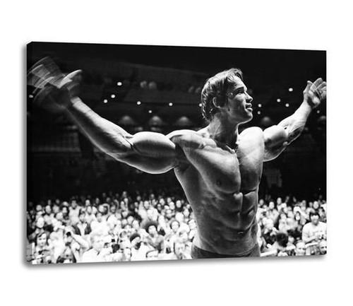 Arnold schwarzenegger canvas - arnold,
