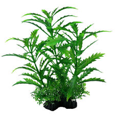 Swell Green Pinatifida