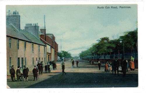 North esk road - road,, montrose