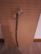 HUGE HAZEL SHANK WALKING STICK