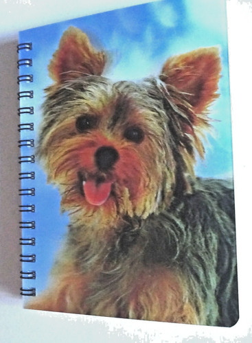 Yorkshire terrier notebook - 3d,