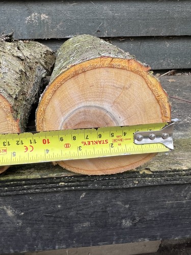 Greengage wood log blank - 1,