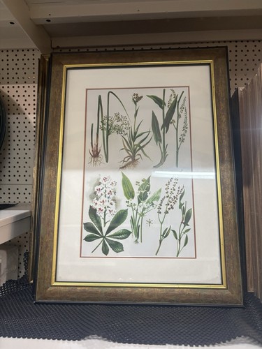 Vintage style botanical print - vintage,