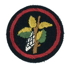 Early Rare Felt Girl Guide