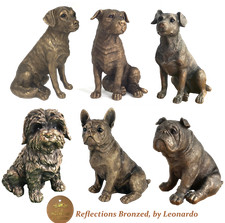 SALE Leonardo Reflections