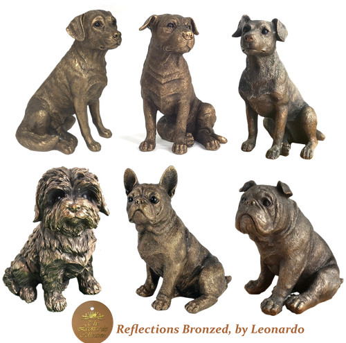 Sale leonardo reflections - leonardo,