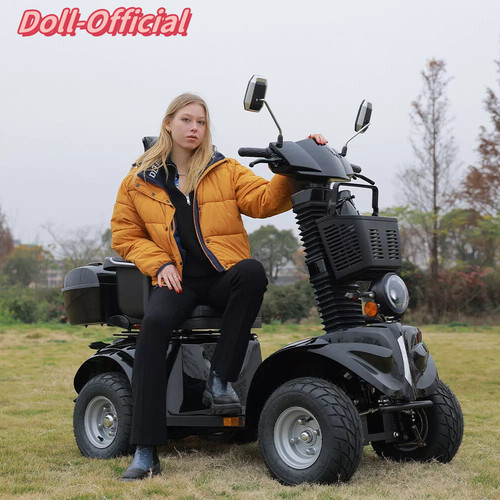 Heavy duty wheel mobility - heavy, 4-wheel