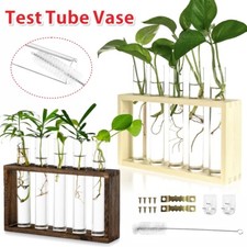 Crystal Glass Test Tube Vase