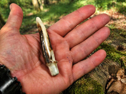 Stag antler horn dog whistle - stag,