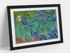 VAN GOGH IRISES -ART FRAMED