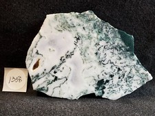 Gorgeous Green Tree Agate