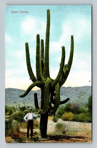 Man standing next - to, multi-arm