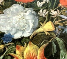 Tulips Roses Rijsk Museum Arts