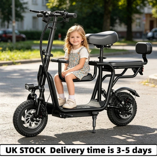 City bike 250w48v adult - city,