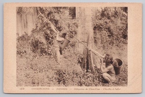 Postcard antique cochinchina - postcard,