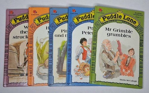 Puddle lane ladybird - 5,