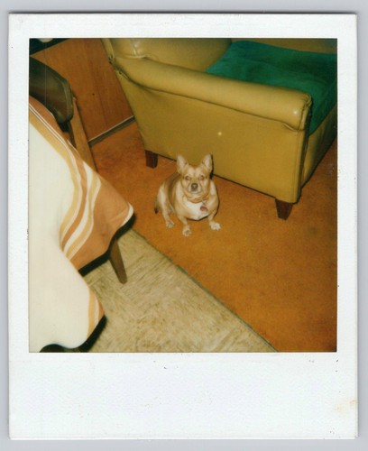 80s polaroid snapshot sweet - 80s,
