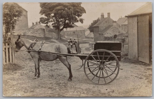 Social history horse trap at - history, &