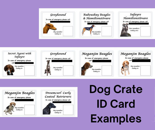 Dog crate cage pen cards - crate,