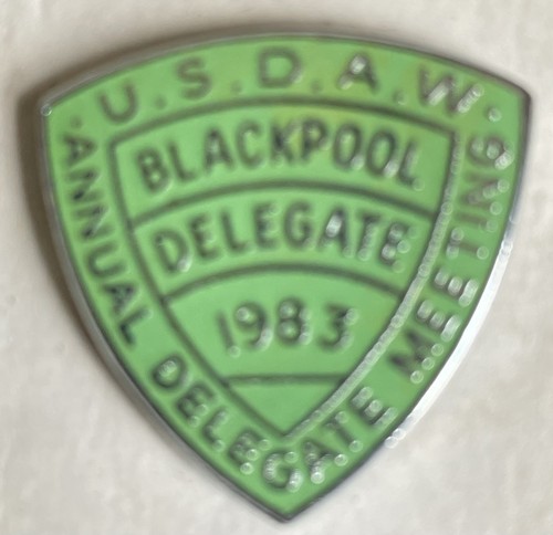 Trade union enamel badge - union,