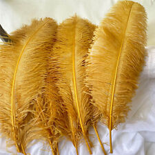 Wedding Costume DIY Plume