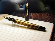 Vintage Tortoiseshell "Pelikan